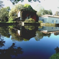 Visite du moulin