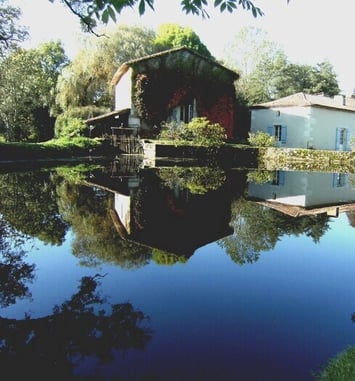 Visite du moulin