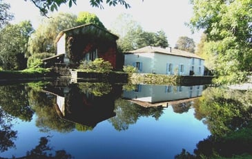 Visite du moulin