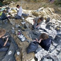 Conférence : "Dernières nouvelles des dinosaures charentais" par Jean-François Tournepiche