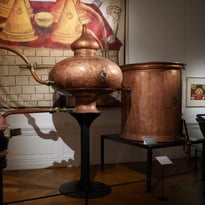 Visite commentée : distiller le monde, un voyage au cœur du vivant