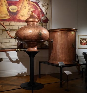 Visite commentée : distiller le monde, un voyage au cœur du vivant