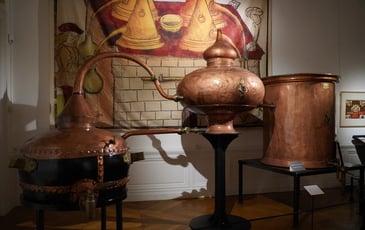 Visite commentée : distiller le monde, un voyage au cœur du vivant