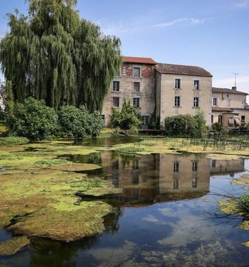 Visite guidée de la minoterie Baud
