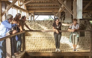 Visite guidée des thermes