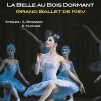 La Belle au bois dormant