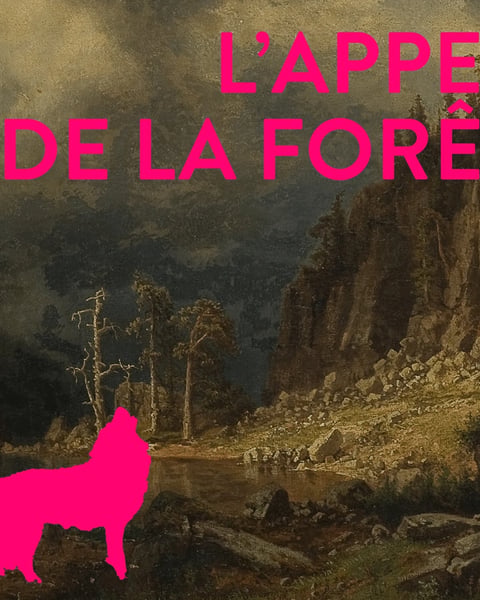 L’Appel de la forêt