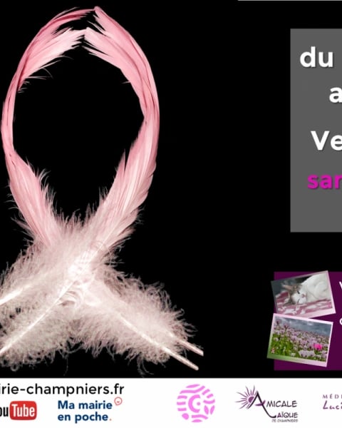 Exposition Photographique Octobre en Rose