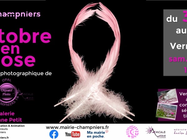 Exposition Photographique Octobre en Rose