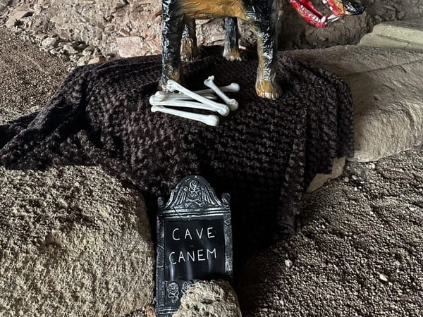 Cassinomagus – Les Journées Halloween